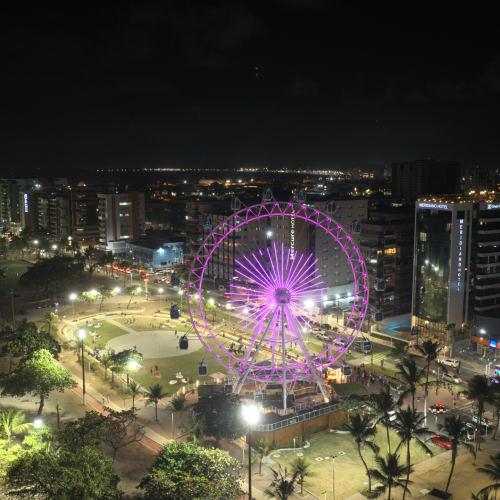 DJI_20251126191855_0132_D