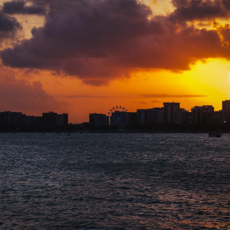 WhatsApp Image 2025-09-24 at 07.43.50 (4)