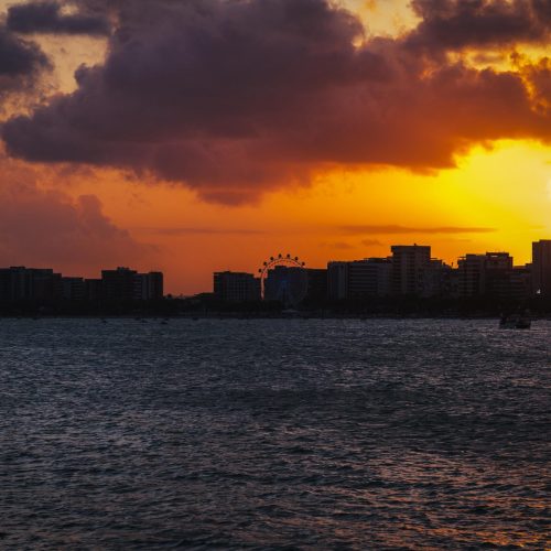 WhatsApp Image 2025-09-24 at 07.43.50 (4)